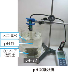 pH�����󋵎ʐ^