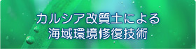 �J���V�A�����y�ɂ��C����C���Z�p