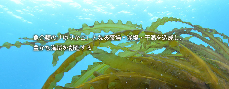 ����ނ́u��肩���v�ƂȂ鑔��E���E�����𑢐����A�L���ȊC���n������
